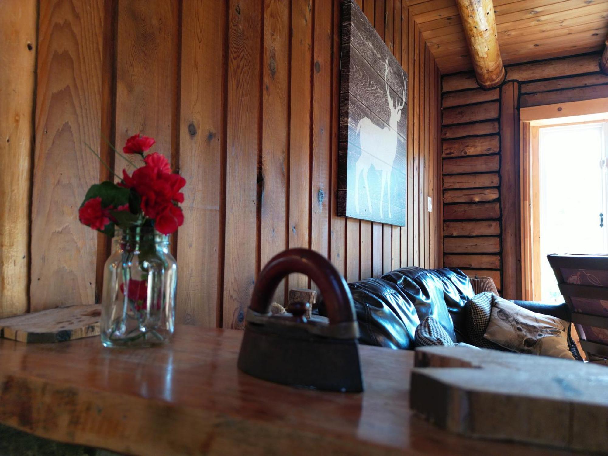 Cozy Log Cottage La Minerve Exterior photo